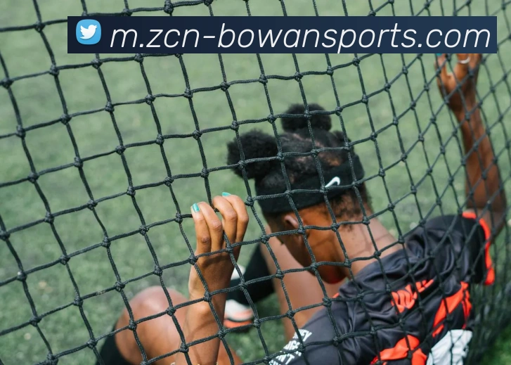 体育下注发展历程